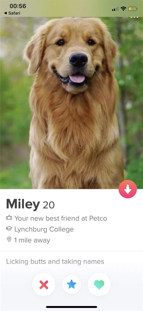 You Bet Your Ass I Freakin Super Liked That Good Girl R Tinder