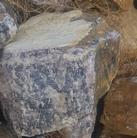 ЭМ ЖИ БИ ХХК | Ulaanbaatar