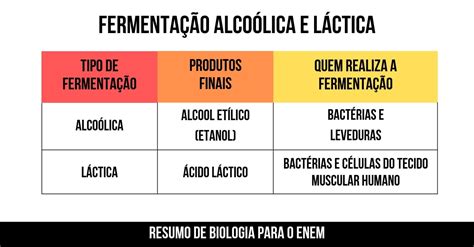 O Que é Fermentação Alcoólica - 9