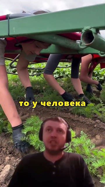 У них лучшая работа в мире - YouTube