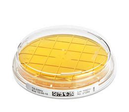 Tryptic Soy Agar TSA With Lecithin Tween Ideal Solutions