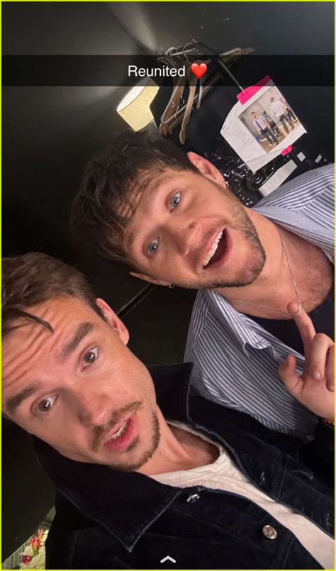 Liam Payne And Niall Horan Reunite One Direction Stars Share New Photos