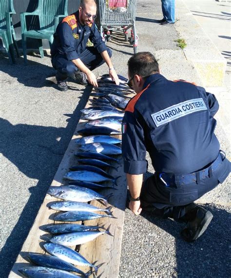 Proseguono I Controlli Della Guardia Costiera Di Reggio Calabria