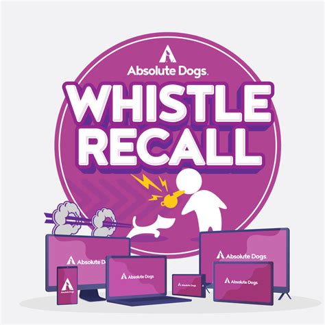 Whistle Recall Course with Absolute Dogs