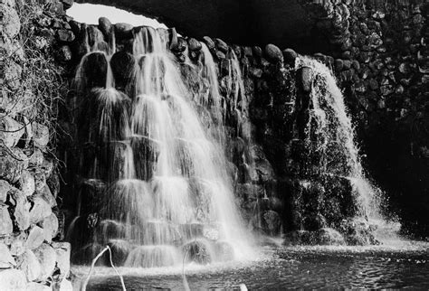 Users are complaining about the slow lisa portal aus speed