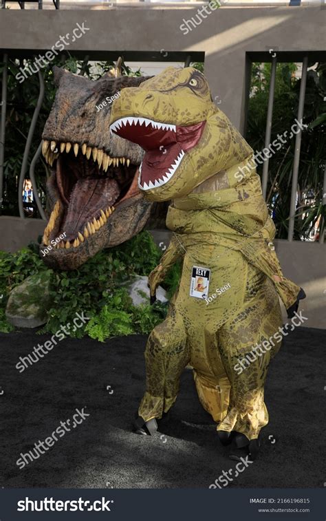 Rexy : 34 images, photos et images vectorielles de stock | Shutterstock