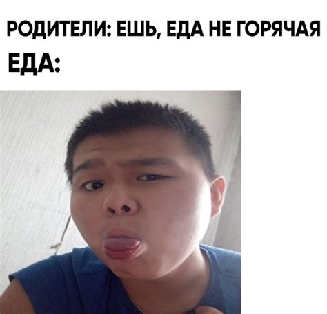 9 енотики 2024 | ВКонтакте