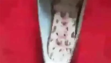 Balerinas Black Free Man Hd Porn Video A Xhamster