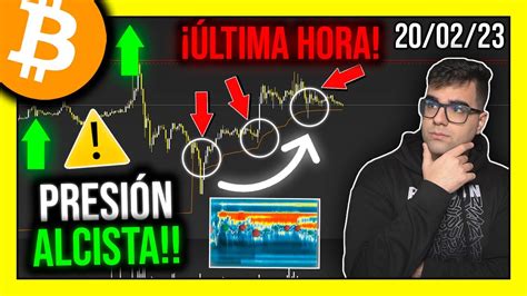 🐳 ¡las Ballenas Están Comprando Bitcoin En Estos Niveles 🤑anÁlisis De Bitcoin Hoy Youtube