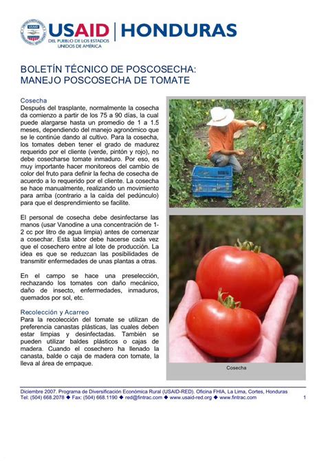 Pdf Manejo Poscosecha De Tomate Dokumen Tips