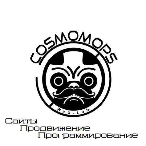Веб студия "Cosmomops" | Moscow