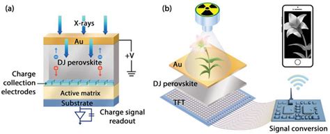 Portable Flat Panel Xray Imager A Device Structure And Working