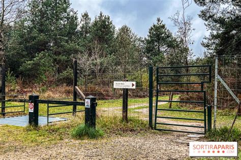The Free Arborandsens Walking Trail In The Fontainebleau Forest The