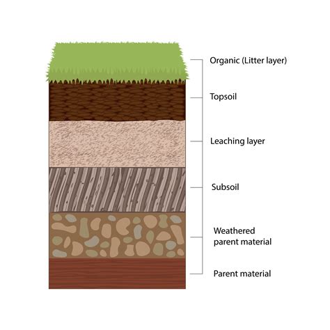 Soil Makeup Bios Pics