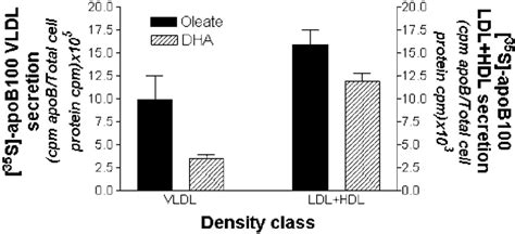 Dha Inhibits The Secretion Of Apob 100 On Vldl Whereas Denser Apob