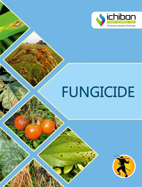fungicide ichiban