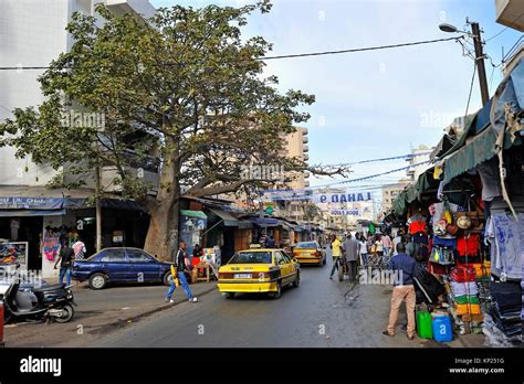 Baobab Dans Une Rue Sur Le Bord De La Marché De Sandaga Dakar Sénégal