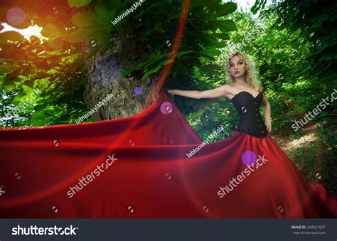 Beautiful Sexy Blonde Girl Black Corset Stock Photo Shutterstock