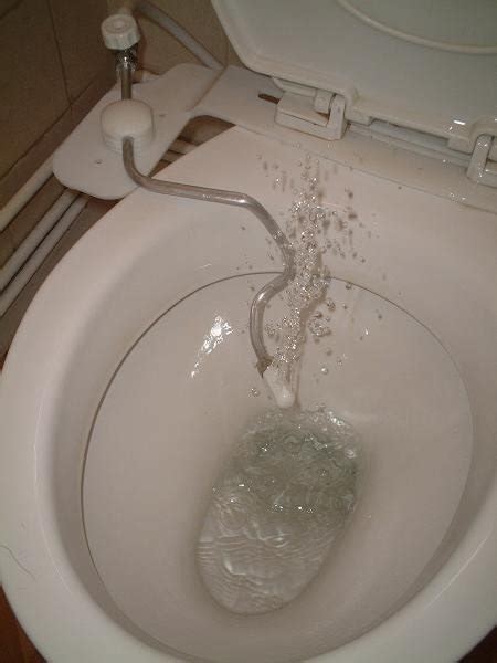 Bidet Masturbation Sex Pictures Pass