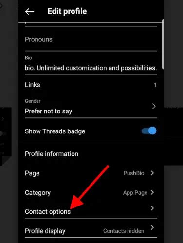 how to add your email to instagram bio