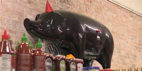 hog  hen celebrates  birthday