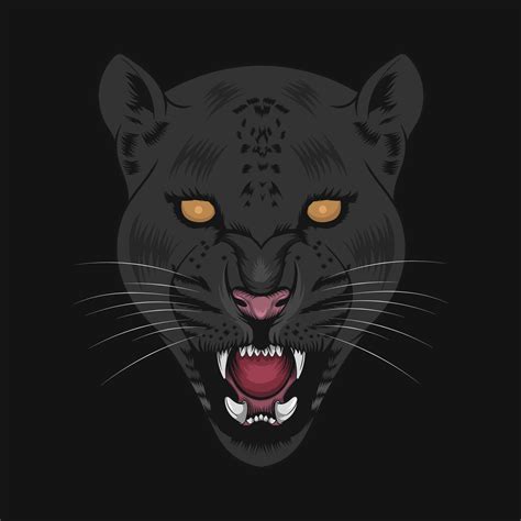 black jaguar animal face vector illustration 4999977 Vector Art at Vecteezy