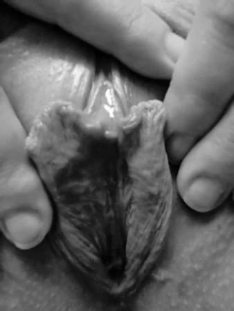 Piernas Abiertas Porn Pics Nude Women In Free Sex Photos XHamster