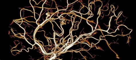 Mri Tech Certification Programs In Michigan