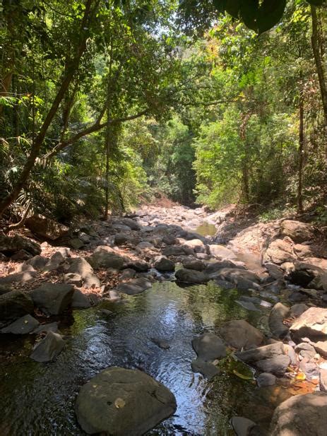 That Wag Life Jungles Waterfalls Rivers And Vagina Rocks