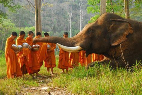Sri Lanka / Feb 23-March 5, 2017 / Thangka Painting Retreat - Art ...