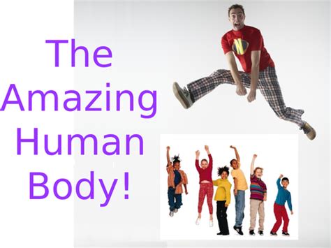 The Amazing Human Body Teaching Resources