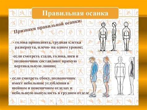 Секрет здоровья и красоты – осанка человека - презентация онлайн