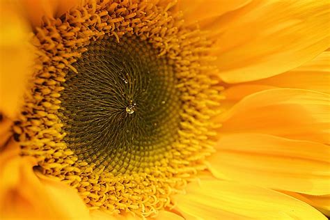 Inside Photograph By Beth Akerman Fine Art America