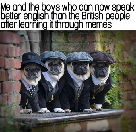 Thank You Memes Images / Thank You Meme Myenglishteacher Eu Blog - See