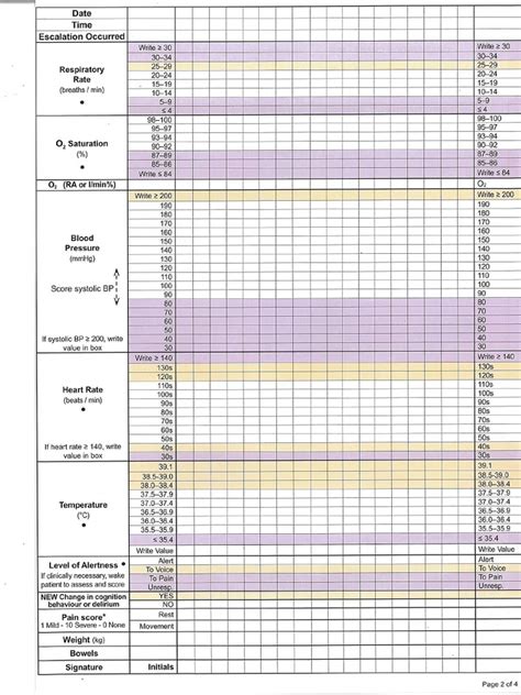 Pain Assessment Chart | PDF