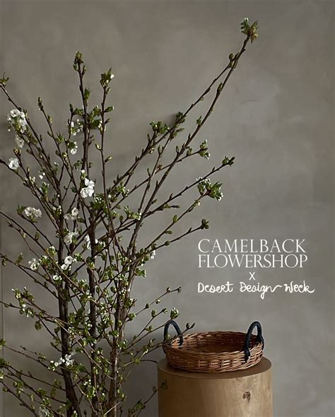 camelback flower shop 3