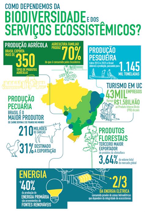 Brasil Desperdi A O Potencial De Sua Biodiversidade