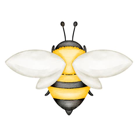 Im Genes Predise Adas De Abeja Acuarela Png