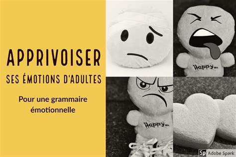 Apprivoiser Ses Motions D Adultes Pour Une Grammaire Motionnelle