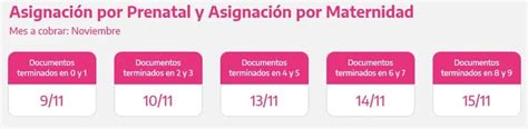 Anses Cuándo Cobro Jubilaciones Auh Suaf Y Más Conocé A Quiénes Les