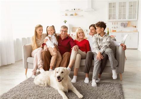 le chien le meilleur animal de compagnie pour la famille