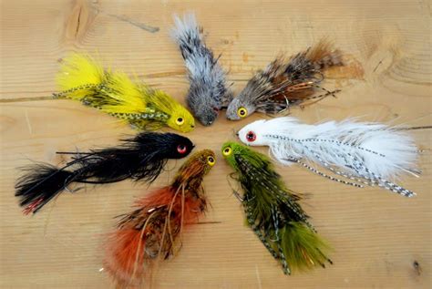 Sex Dungeon Tying Kit Items Kelly Galloup S Slide Inn