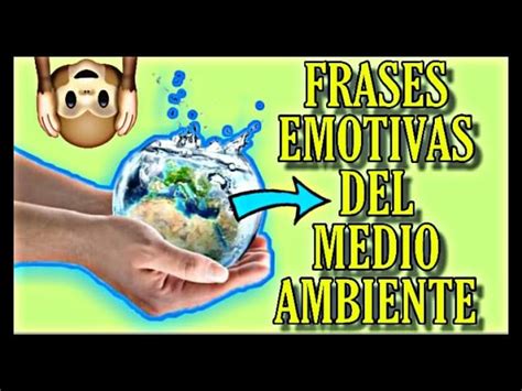 10 Frases Inspiradoras Para El Cuidado Del Medio Ambiente Que Te