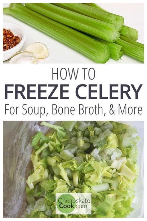 How To Freeze Celery What To Do With Celery Leaves Artofit