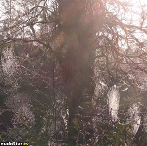 Cinderella Girl Cinderella Story Cinderelagirl69 Cinderelastory Nude OnlyFans Photo 96