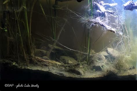 This is why menards in johnson's creek wisconsin is a local favorite 10