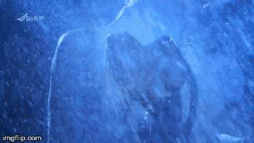 Pamela Anderson Page FreeOnes Forum The Free Sex Community