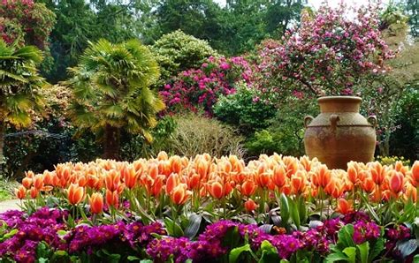 Abbotsbury Gardens | near Weymouth | hotels | best time to visit ...