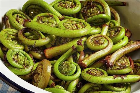 Fiddlehead Art Pixels