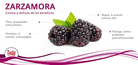 Zarzamora Fruit Food Blackberry